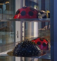 /album/fotogaleria-reflejos/a02052014dscf6499-elisa-cristina-santos-dolz-jpg/